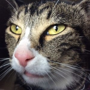 Meet your Posher, Julie